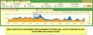 brandable report 6 months old traffic stats