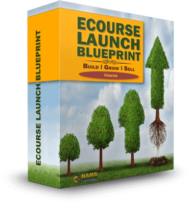 ECourseLaunchBlueprint-Box-Course-400px