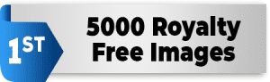5000 Royalty Free Images