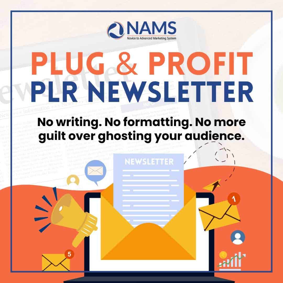 Plug-&-Profit-Newsletter