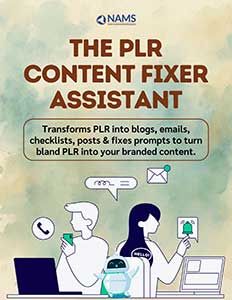 The-PLR-Content-Fixer-Assistant